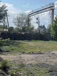 Продам сено в тюках и в рулонах в городе срочно