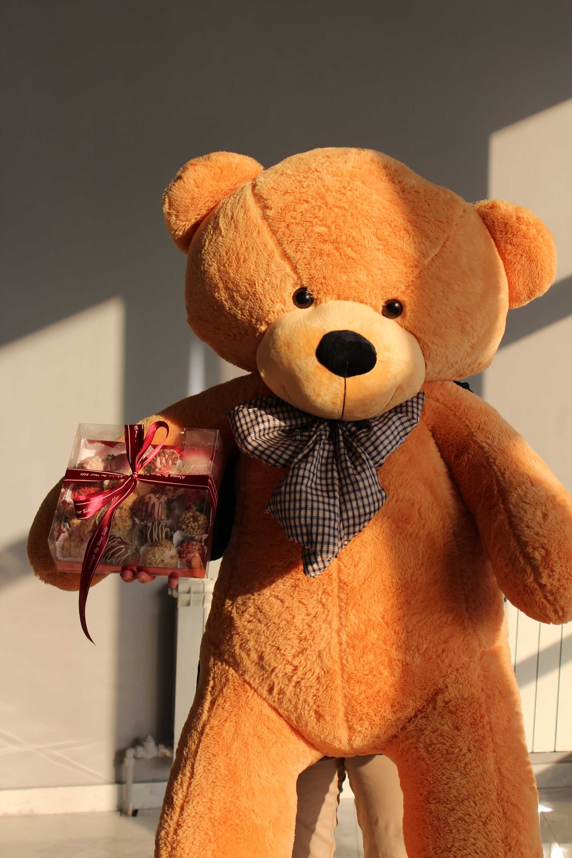 мягкие игрушки плюшевые медведи Нестор Тедди Teddyмишка мишки от 12500