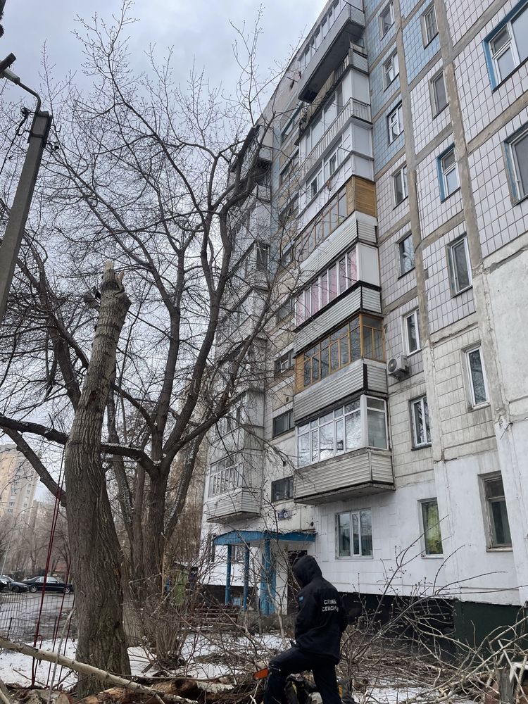 Спил деревьев и веток, санитарная подрезка