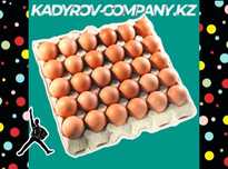 Выращивайте продуктивных кур с яйцами Ломан Браун!