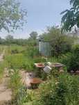Продам дачу,район Саздинского водохранилища, 8 соток.