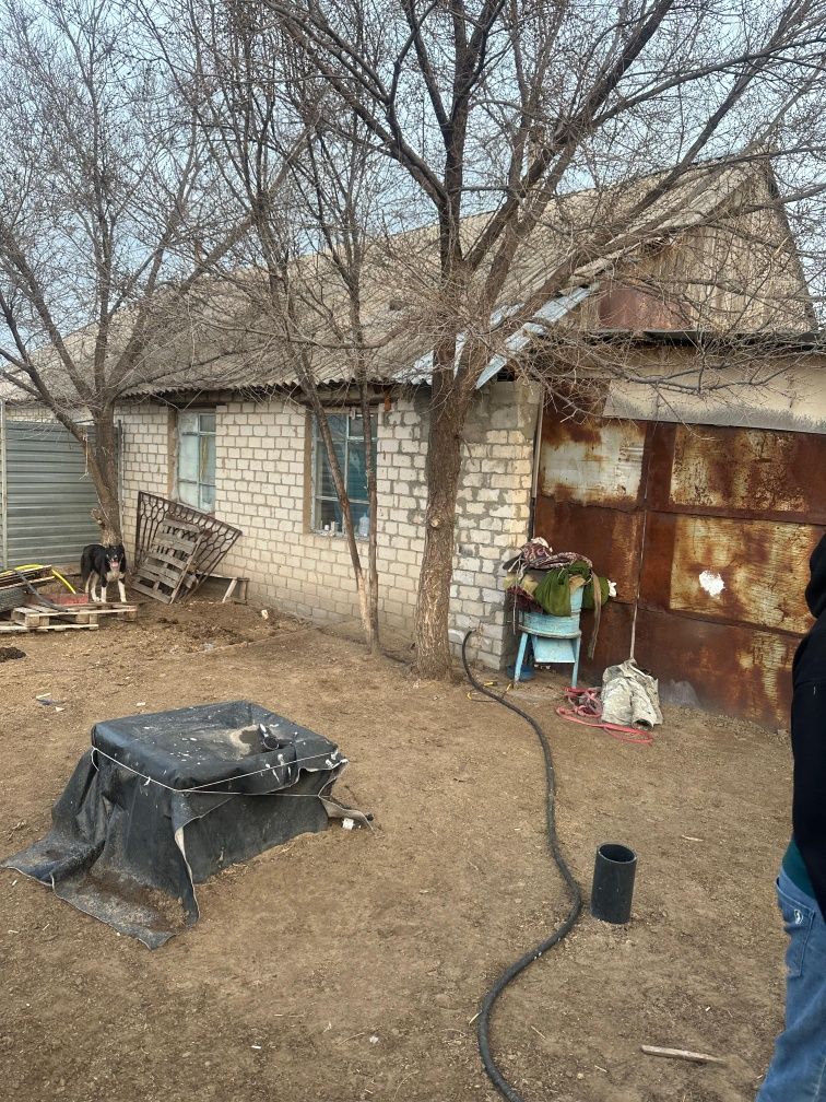 Продам Фазенду вместе с баранами