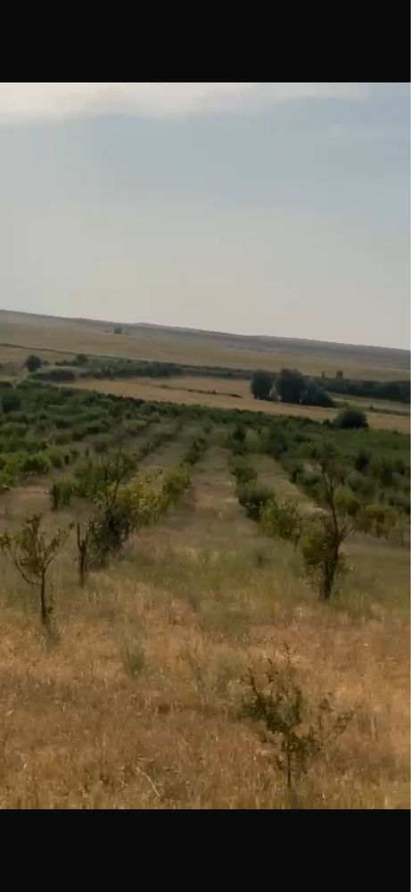 Уникальный участок