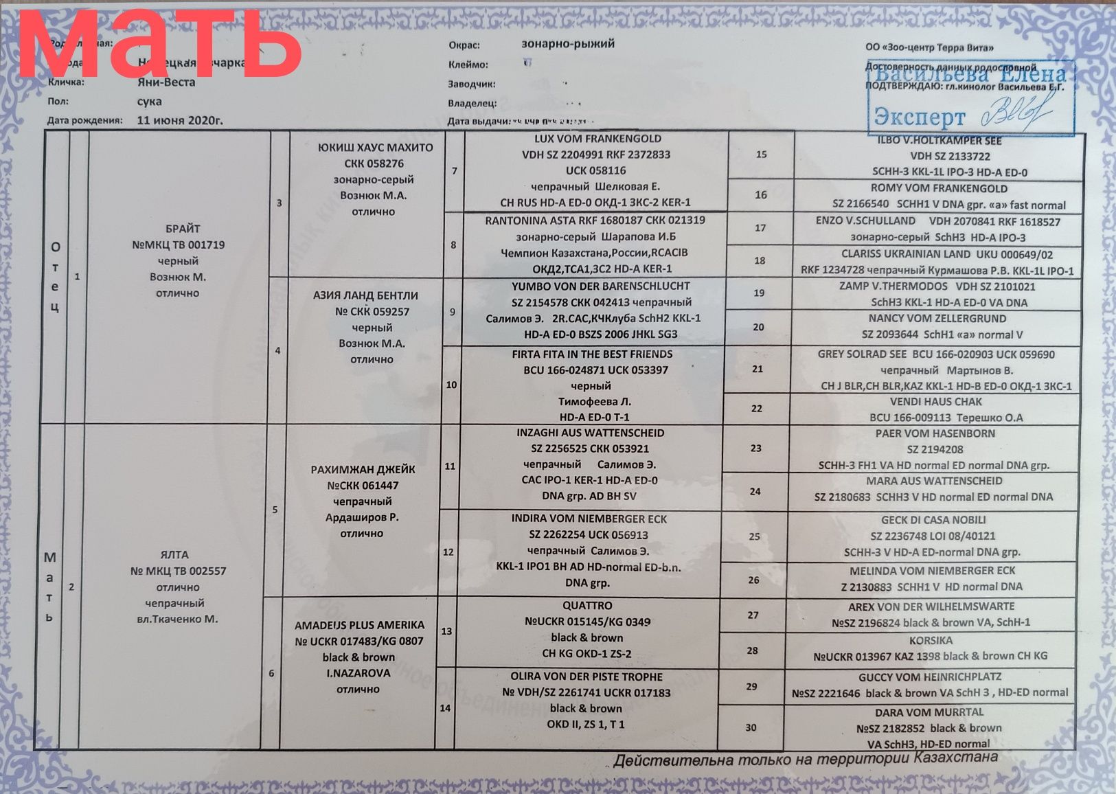 Щенки немецкой овчарки