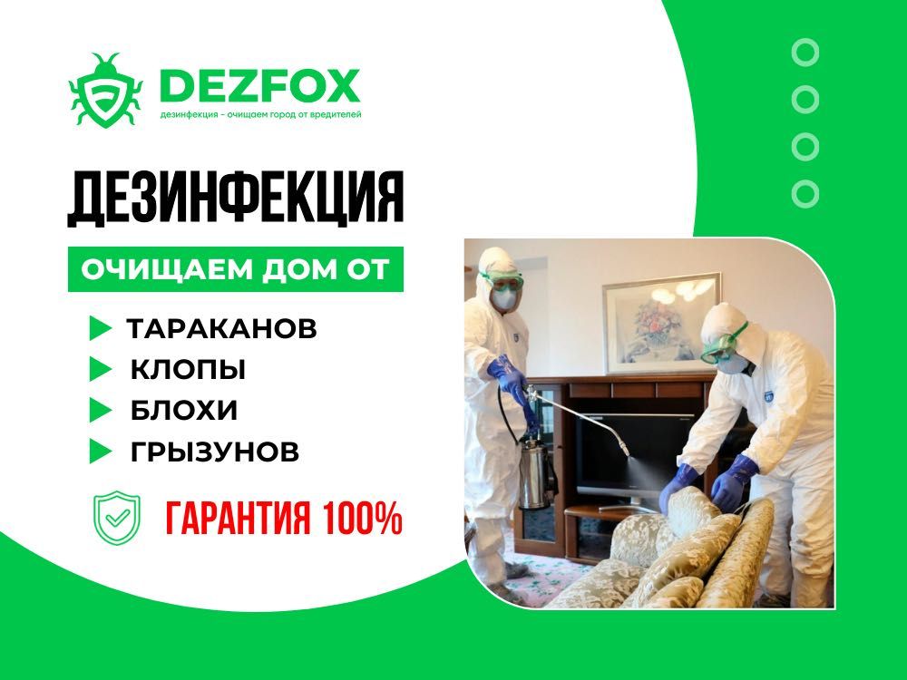 Дезинфекция Санитарная Обработка Квартиры Помещение От Мышей Крыс Блох