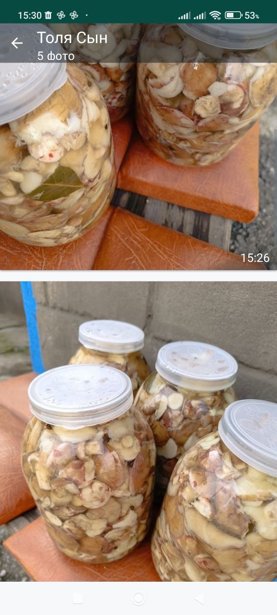 Продам грибы  маслята