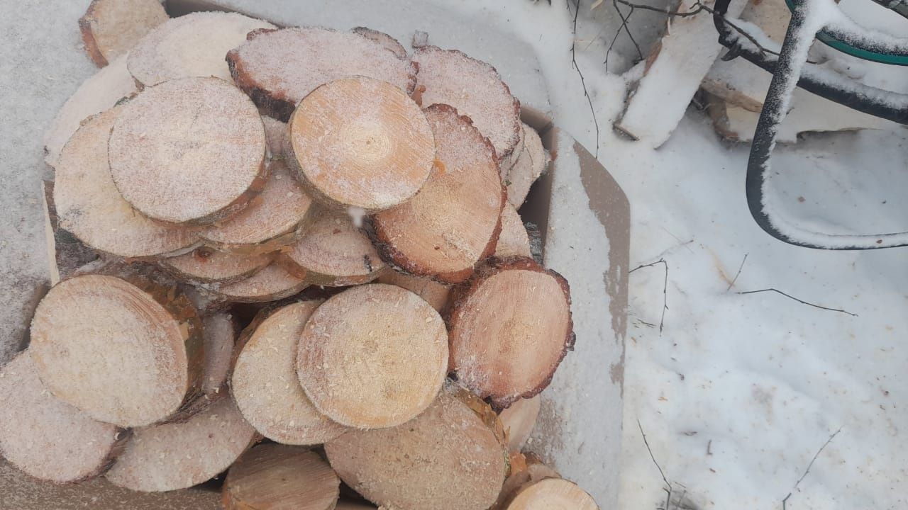 Дрова для камина шашлыка и спилы