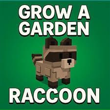 Продам Енот | Быстро и надёжно | Grow a garden
