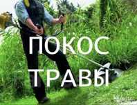 Покос травы, косим траву, шөп шабу
