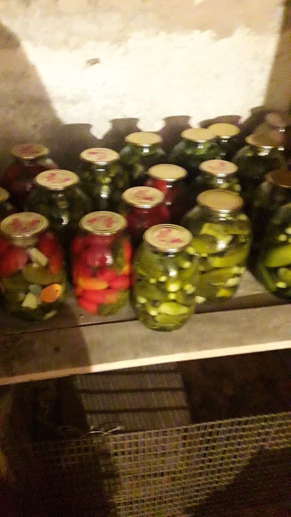 Соленья своего приготовления