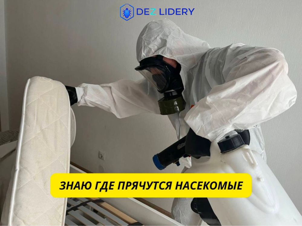 Дезинфекция клопов Тараканов жук короед блоха мышь тышқан қандала