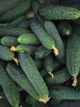 Огурцы домашние, очень вкусные, не переросшие.