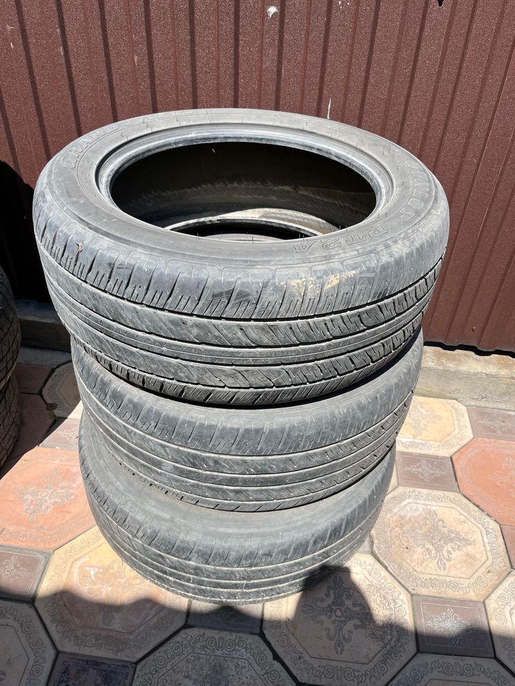 Шина Dunlop PT 24