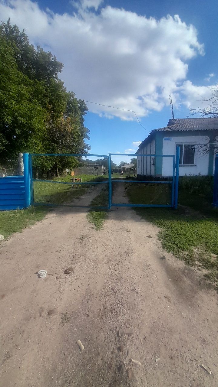 Ауылды жерде үи сатылады қалаға жақын