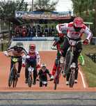Секция BMX (БМХ)