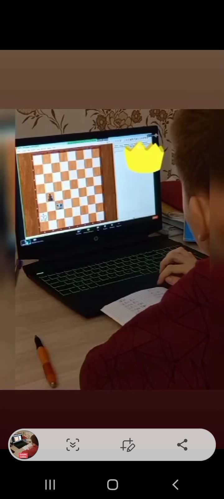 Тренер по шахматам, шахмат курс