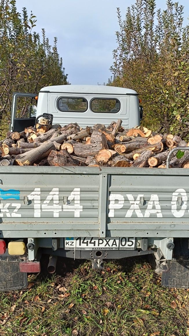дрова яблони резанные