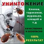 Дезинфекция дератизация тараканы,клопы