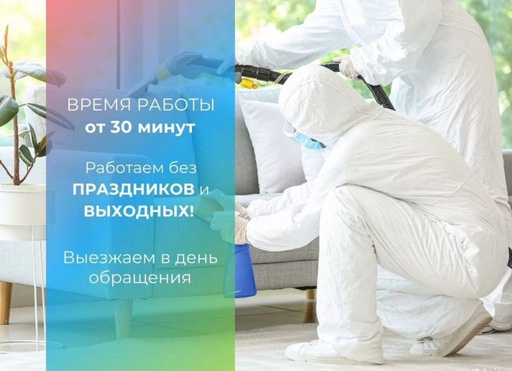 Дезинфекция| обработка от насекомых
