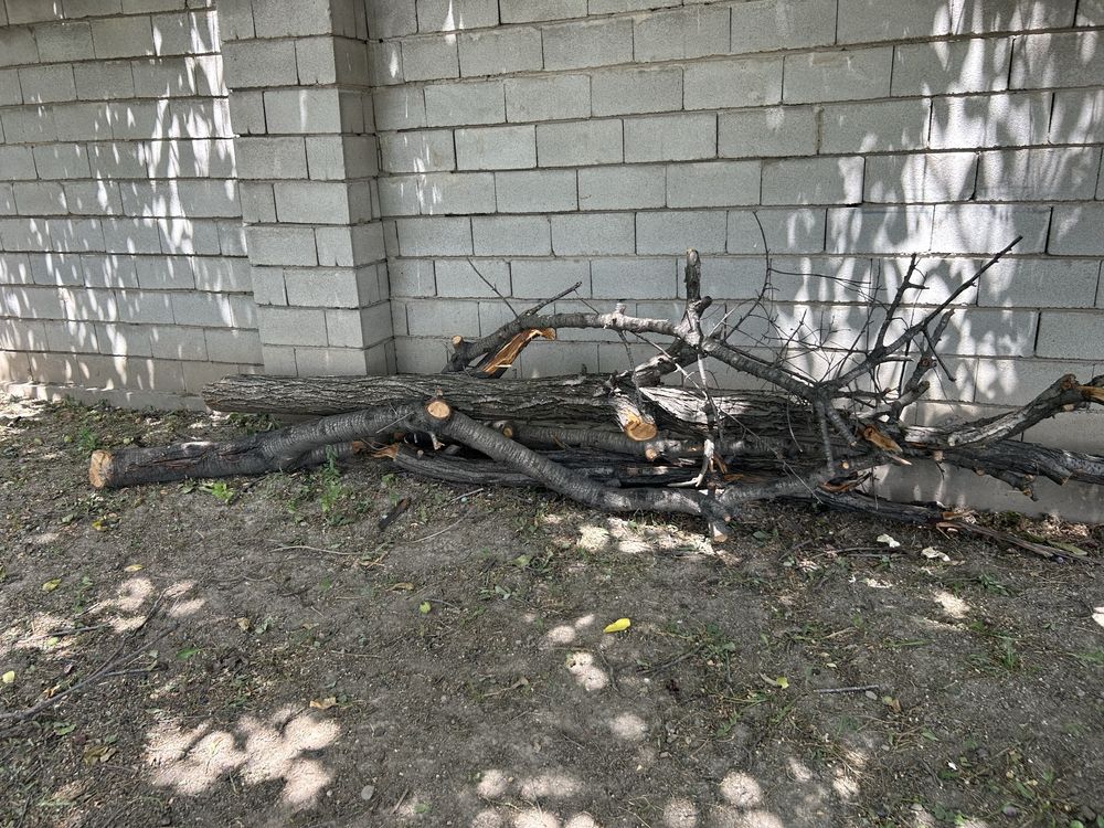 Дрова отдам даром