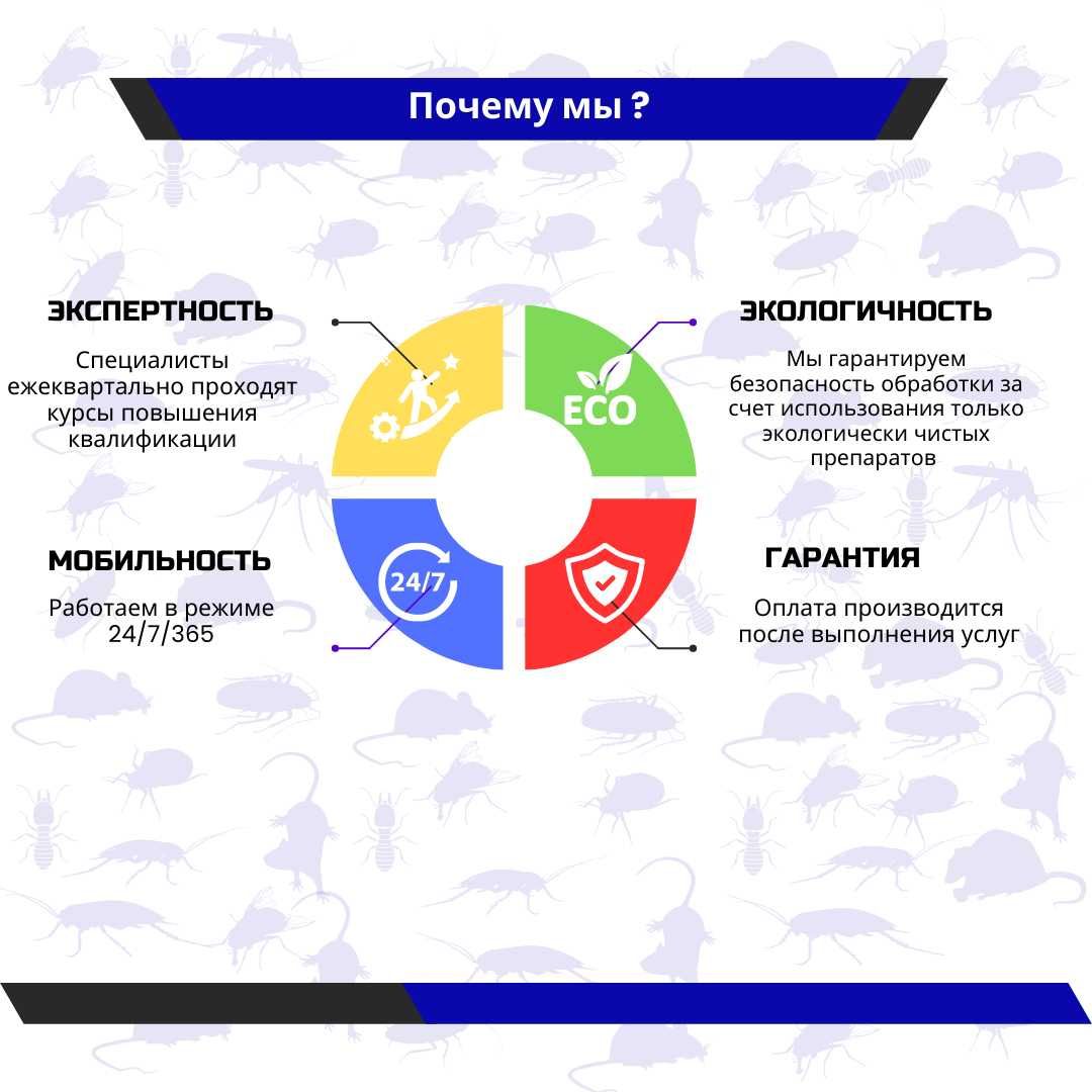 Потравить клопов клопы дезинфекция/дезинсекция/избавиться/обработка
