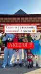 мишки тедди на прокат, в аренду/ костюмы ростовых кукол
