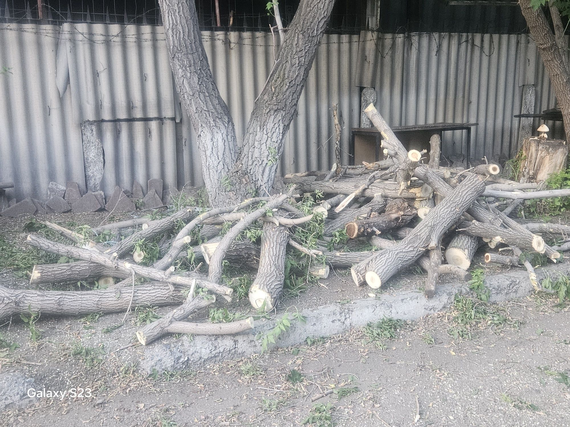 Дрова бесплатно сомавывоз