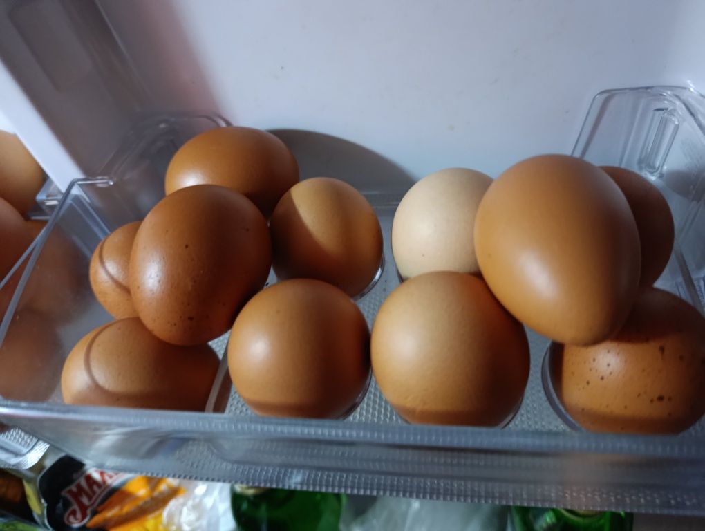 Продается яйцо домашнее