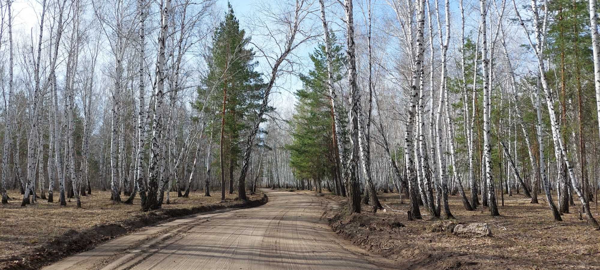 Продам участок земли