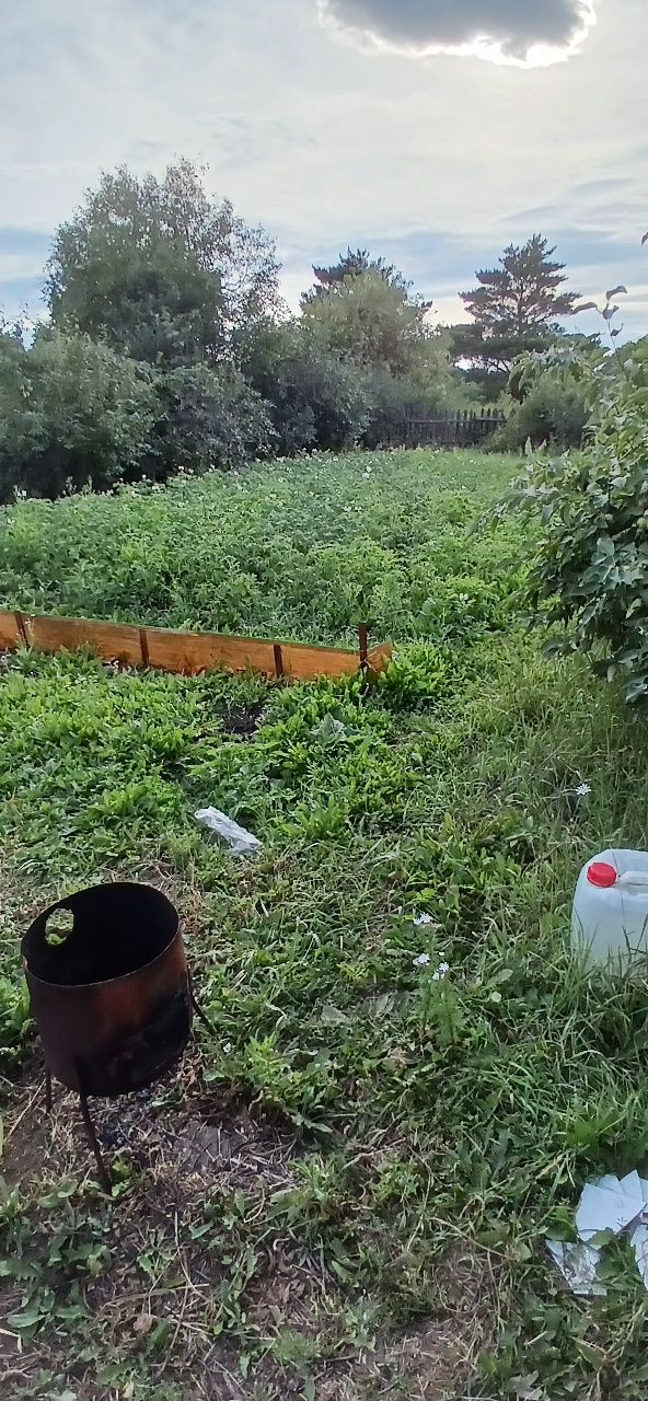 Дача на ромашке 8 км от маикудука. СОРТИРОВКА.