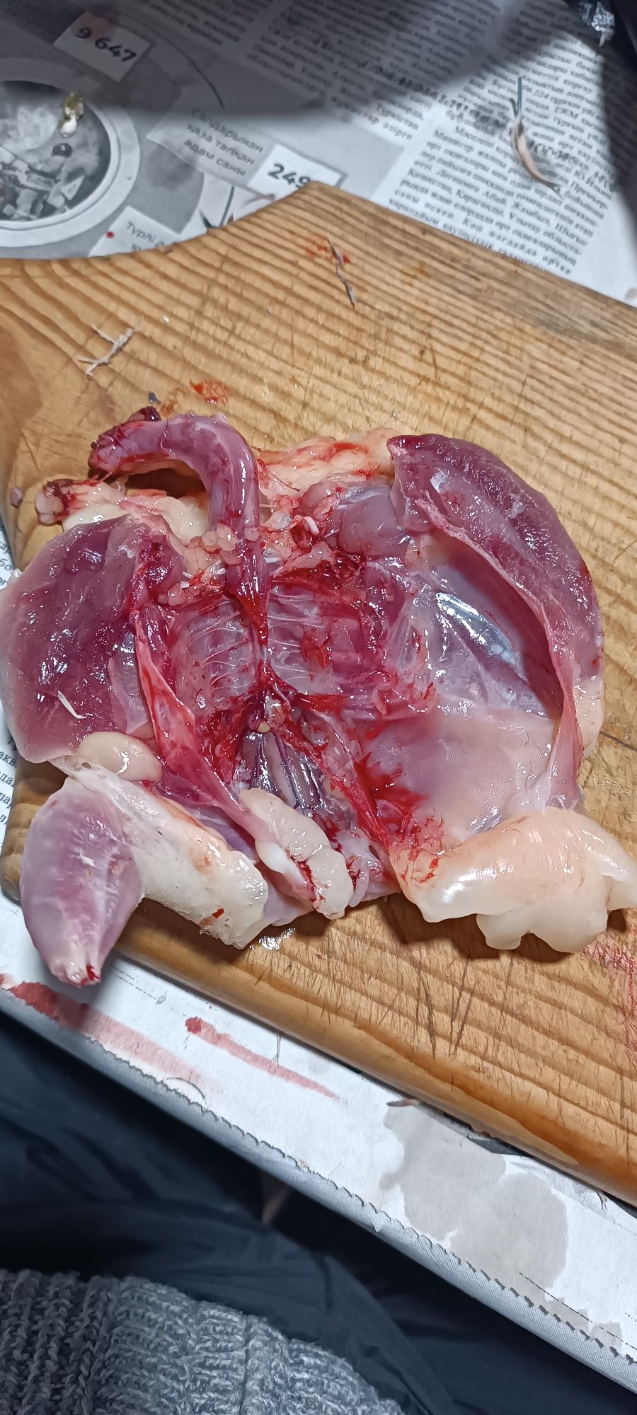 Продается мясо перепелинное...