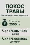 Покос травы возможно уборка и вывоз травы   и есть услуга чистка печны