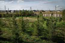 Продаются земельные участки в городе Косшы 40 соток