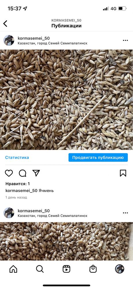 Корма сено