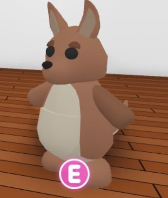 Продам кенгуру фр(Kangaroo fr)