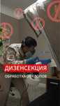 Дезинфекция уничтожение насекомых клопов таракан Тараканов қандала