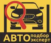 Автоэксперт АвтоПодбор авто Толщиномер Диагностика авто