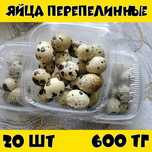 Яйцо перепелинное -20 штук