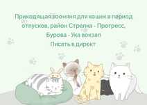 Приходящая зооняня