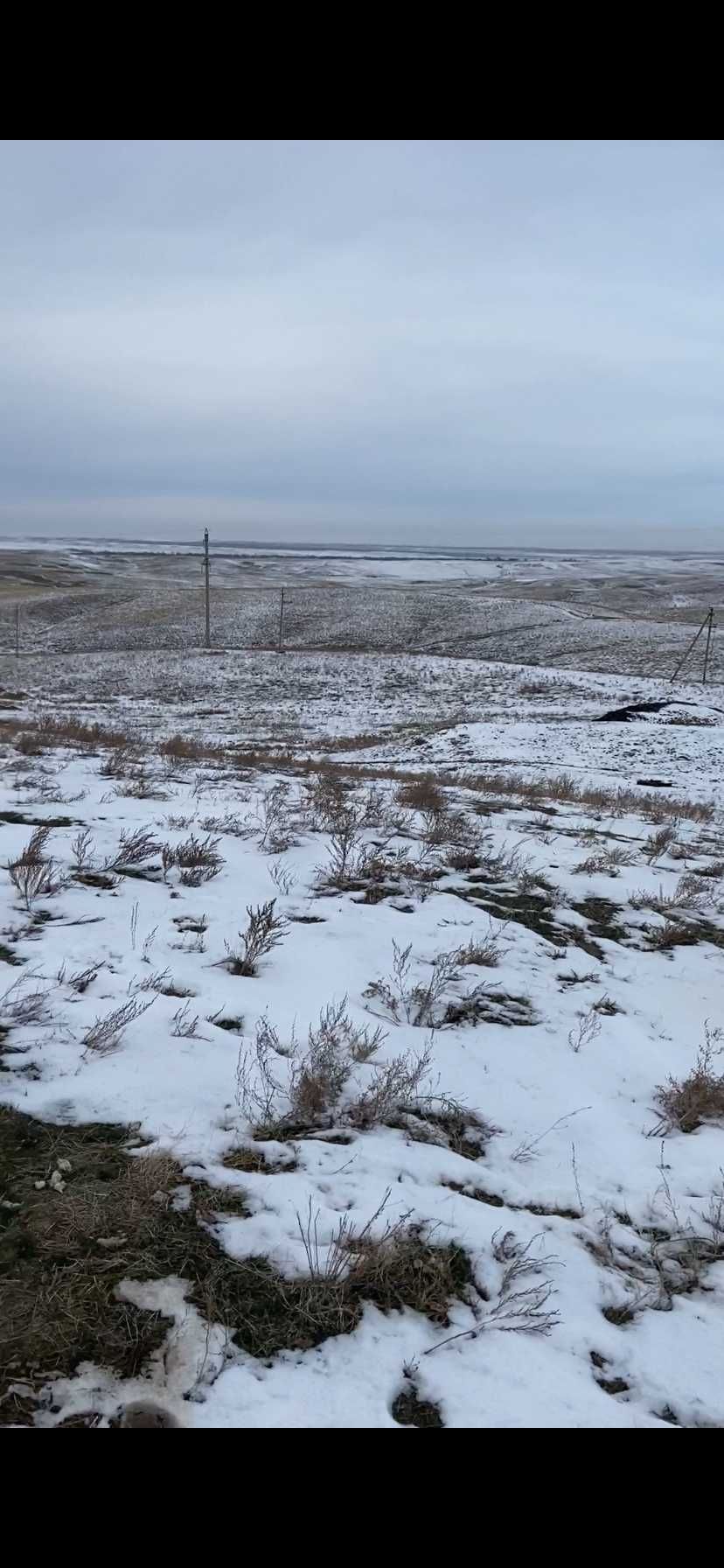 Продам Фазенду (крестьянское хояйство), поселок Таргап