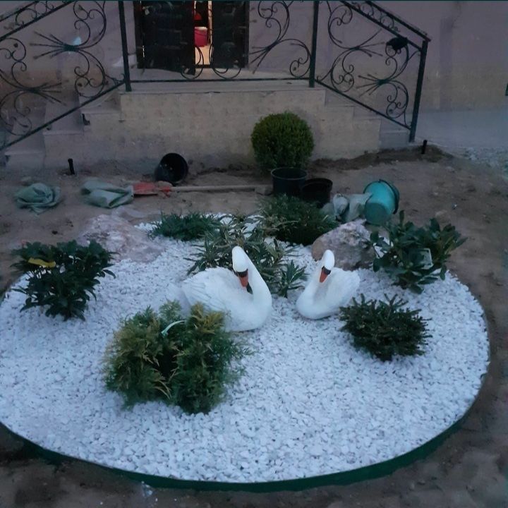 Газон и автополив