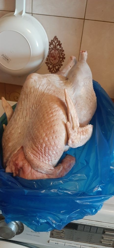 Продам мясо индюков