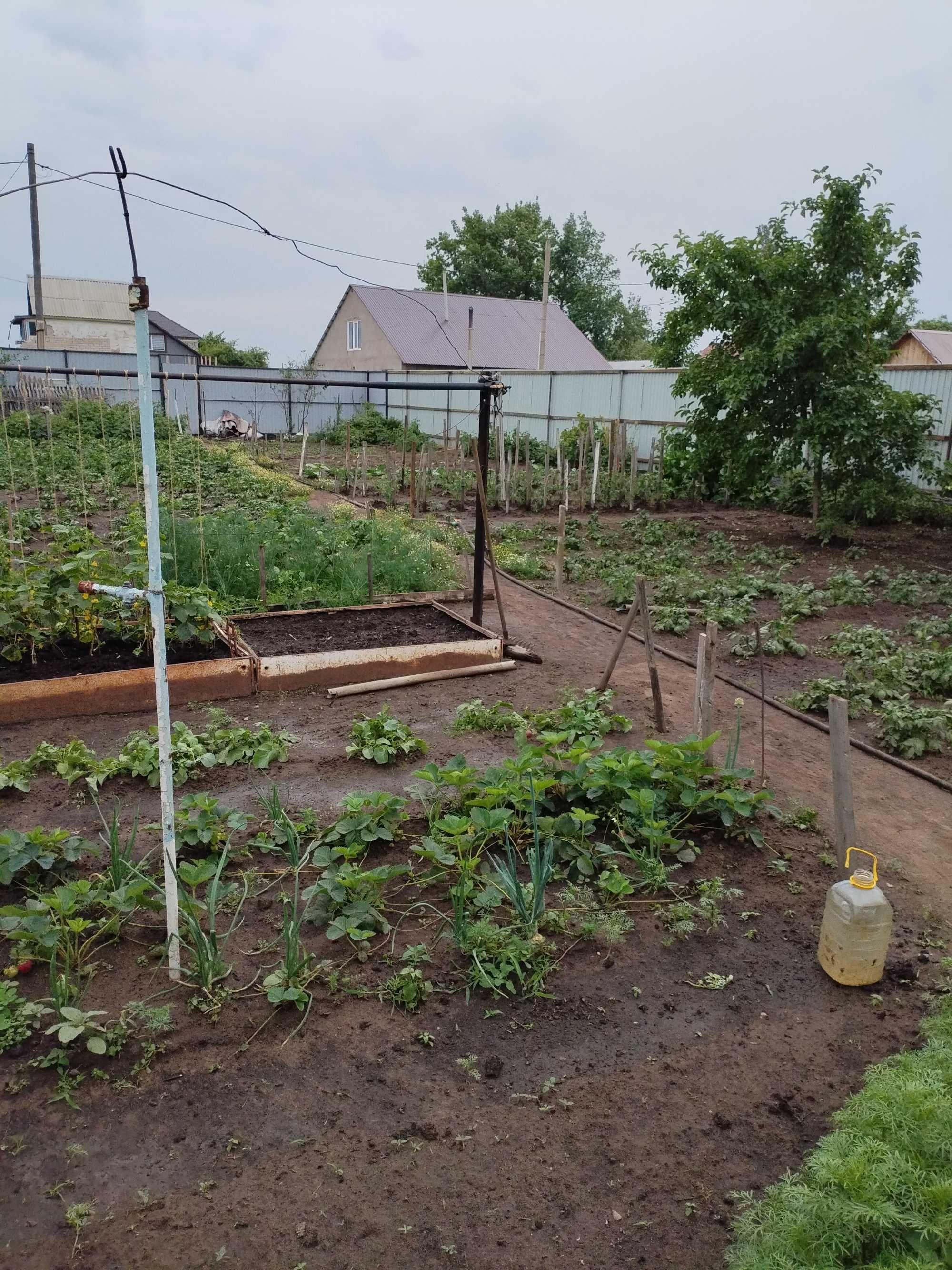 Продам дачу. Садоводство весна