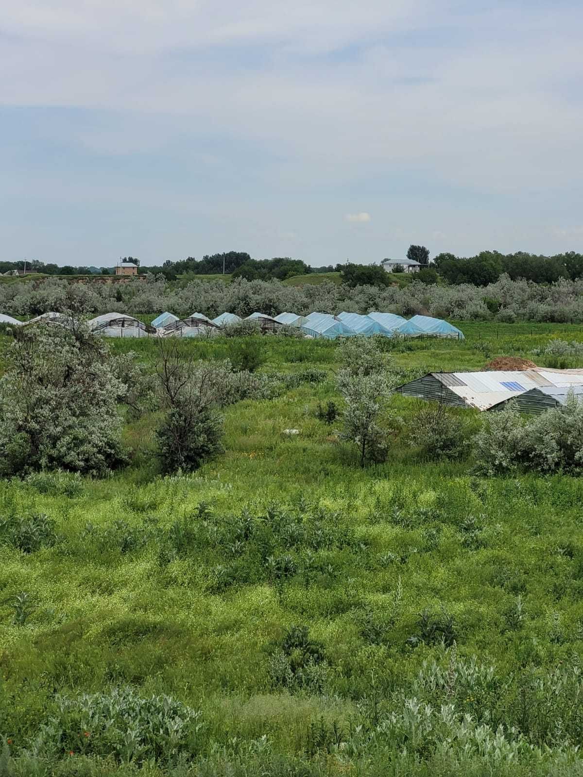 Продам участок в непосредственной близости БАКа и речки Каскеленки.