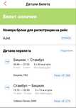 Билеты на самолет Бишкек > Стамбул