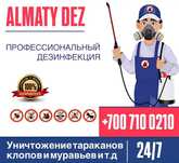 Дезинфекция Уничтожение клопов и тараканов қандала дезинсекция