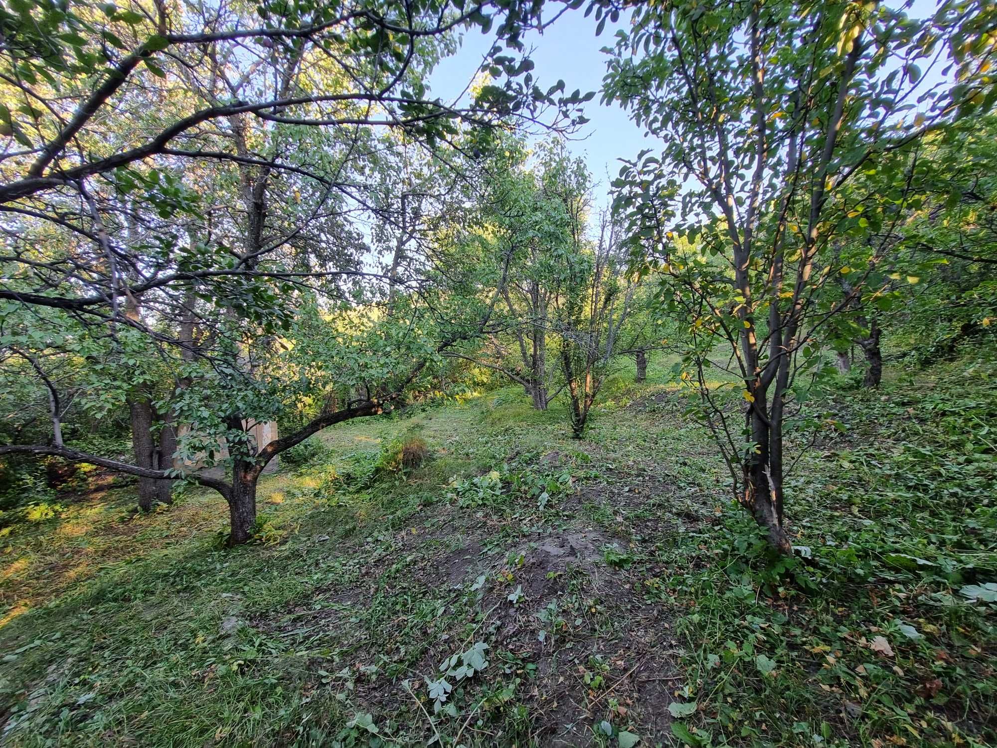 Продается Дача, (Горняк)