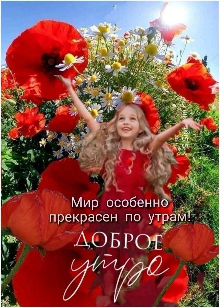 Прополка дачи. .