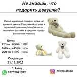 Мишки от 14300 новые