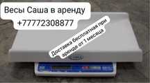 Весы для новорожденных Саша 300 тг в день